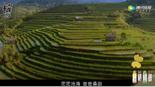 神清氣爽 我會飽養(yǎng)——一榨鮮五谷飲料